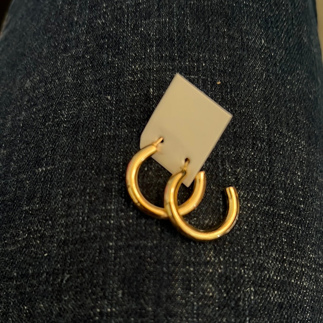 Earring gold loop